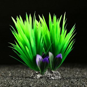 Растение искусственное аквариумное, 18 х 10 х 11,5 см, зелёный