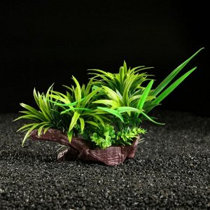 Растение искусственное аквариумное, 20 х 14 см