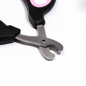 Ножницы-когтерезы "Пижон" Premium с эргономичной ручкой, чёрно-бежевые