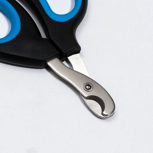 Ножницы-когтерезы "Пижон" Premium с эргономичной ручкой, отверстие 8 мм, чёрно-голубые
