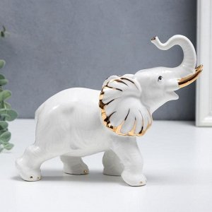 Сувенир керамика "Белоснежный слон" с золотом 17 см
