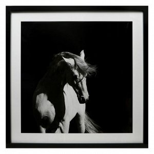 Картина "Белый конь на чёрном" 70х70(74х74) см