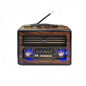 Портативный радиоприемник Meier Radio Wireless