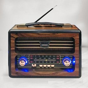 Портативный радиоприемник Meier Radio Wireless