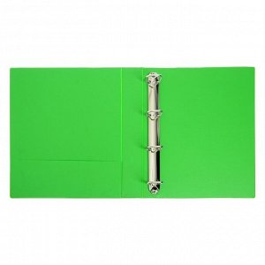 Папка, формат А4, 55 мм "Панорама" на 4-х кольцах, с передним прозрачным карманом, зелёная, до 400 листов