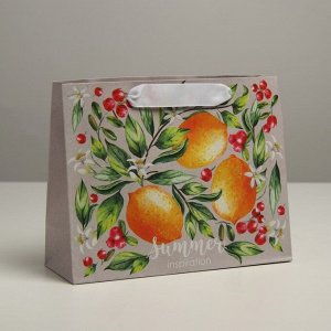 Пакет крафтовый подарочный «Лето», 22 x 17,5 x 8 см