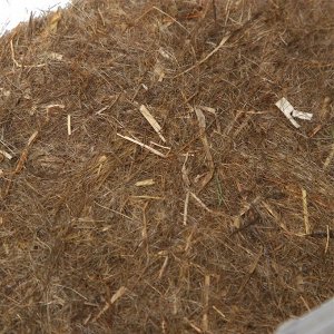 Набор для выращивания микрозелени: Капуста белокачанная, лоток, джутовый коврик