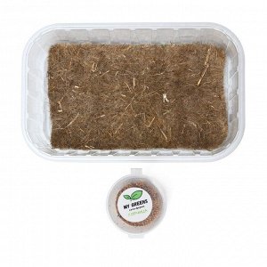 Набор для выращивания микрозелени My Greens, Горчица (5 г), лоток, джутовый коврик