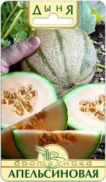 Дыня Апельсиновая