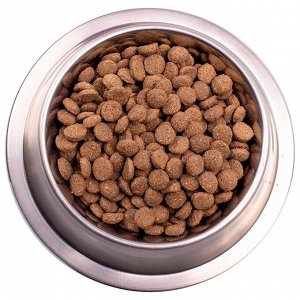 Сухой корм Gemon Dog Medium для взрослых собак средних пород, ягненок/рис, 15 кг.