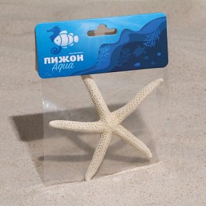 Морская звезда декоративная, 10-16 см