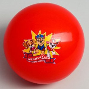 Мяч детский Paw Patrol &quot;Команда&quot;, 16 см, 50 гр, цвета МИКС