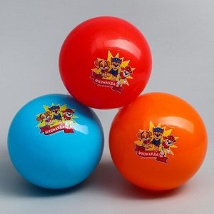 Мяч детский Paw Patrol &quot;Команда&quot;, 16 см, 50 гр, цвета МИКС