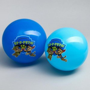 Мяч детский Paw Patrol &quot;Кр-р-руто&quot; 22 см, 60 гр, цвета МИКС