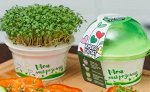 Набор для выращивания микрозелень Кресс-Салат