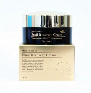 Крем для лица "УЛИТОЧНЫЙ МУЦИН" Deoproce Snail Recovery Cream 100g №1158 , шт