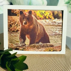 3Д картинка &quot;Бурый медведь&quot; 14,5 х 19,5 см х М-0011, голографическая открытка с изображением медведя, без рамки