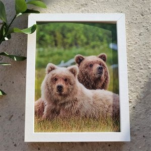 3Д картинка "Два медведя на траве" 14,5 х 19,5 см х М-0012, голографическая открытка с изображением медведей, без рамки