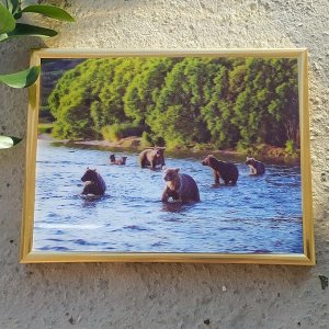 3Д картинка "Медведи вышли на рыбалку" 14,5 х 19,5 см х М-0013, голографическая открытка с изображением медведей, без рамки