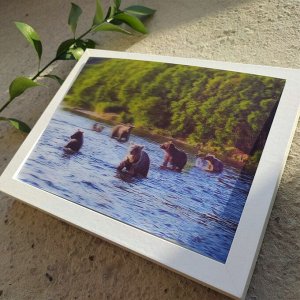 3Д картинка "Медведи вышли на рыбалку" 14,5 х 19,5 см х М-0013, голографическая открытка с изображением медведей, без рамки