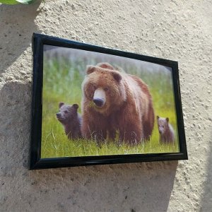 3Д картинка "Медведица с двумя медвежатами" 9,5 х 14,5 см х М-0015, голографическая открытка с изображением медведей, без рамки