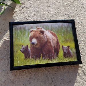 3Д картинка "Медведица с двумя медвежатами" 9,5 х 14,5 см х М-0015, голографическая открытка с изображением медведей, без рамки