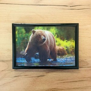 3Д картинка "Медведь на речке" 9,5 х 14,5 см х М-0017, голографическая открытка с изображением медведя, без рамки
