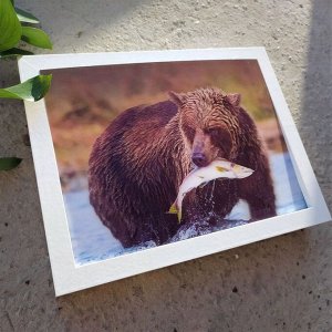 3Д картинка "Медведь, поймавший рыбу" 14,5 х 19,5 см х М-0019, голографическая открытка с изображением медведя, без рамки