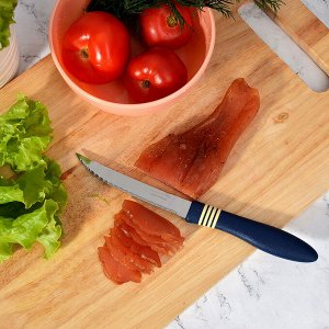 Нож для мяса 12, 7 см Tramontina Cor&Cor, 23466/235 (цена за 2 шт.)