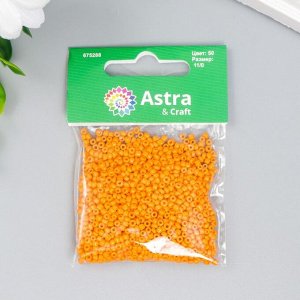 ASTRA Бисер &quot;Астра&quot;  11/0, 20г (50)