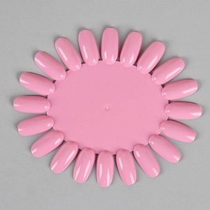Палитра для лаков «Овальная», 20 ногтей, цвет розовый