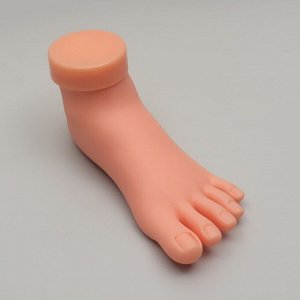 Нога тренировочная для педикюра, с гнущимися пальцами, цвет бежевый