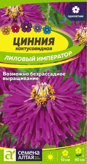 Цветы Цинния Лиловый Император кактусовидная/Сем Алт/цп 0,2 гр.