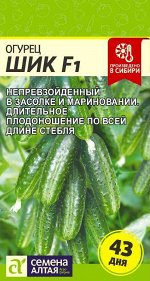 Огурец Шик F1/Сем Алт/цп 6 шт.