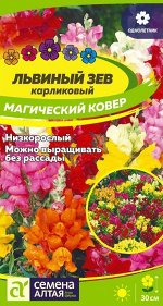 Цветы Львиный зев Магический Ковер/Сем Алт/цп 0,2 гр.