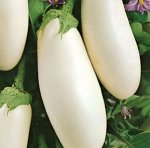 Баклажан Вкус Грибов раннеспелый, грушевидный, белый 0,2гр
