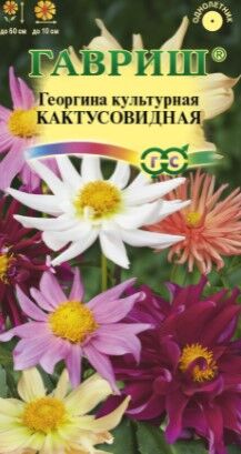 Георгина Кактусовидная смесь густомахр, до 100см, однол 0,2гр