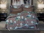 Постельное белье с одеялом (ЕВРО) Аззаро (капучино) Cotton комплект, шт