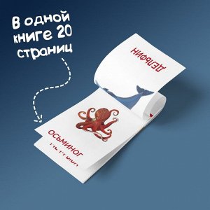 Книги «Карточки Домана. Окружающий мир», набор, 8 шт. по 20 стр.