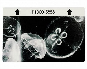 Защитная плёнка текстурная на заднюю часть "Животный мир" (Медузы, S858)