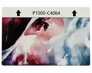 Защитная плёнка текстурная на заднюю часть "Краски" (Палитра, C4064)