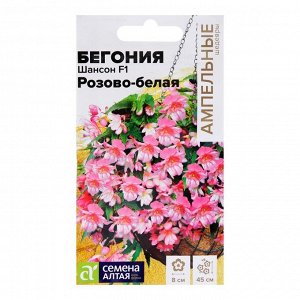 Семена комнатных цветов Бегония "Розово-белая", 5 шт.