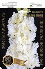 Гладиолус Белое Море 500,Киселев 2 р-р 7шт (Ф)