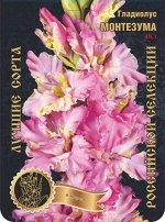 Гладиолус Монтезума 475,Коничек 2 р-р 7шт (Ф)