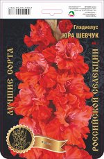 Гладиолус Юра Шевчук 456,Фотин Экстра 7шт (Ф)