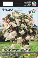 Бегония Иллюминейшн Белая 6/7 2шт (Сиб сад)