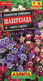 Аквилегия Шахерезада, смесь сортов