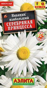 Нивяник Серебряная принцесса