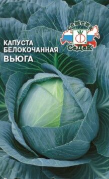 Капуста бк Вьюга позднеспелая 0,5гр Седек