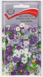 Брахикома Иберисолистная Смесь окрасок (Код: 65532)
